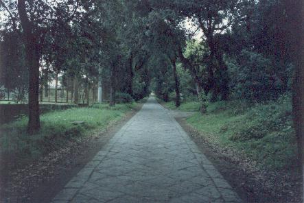 Vialone (Parco Superiore)